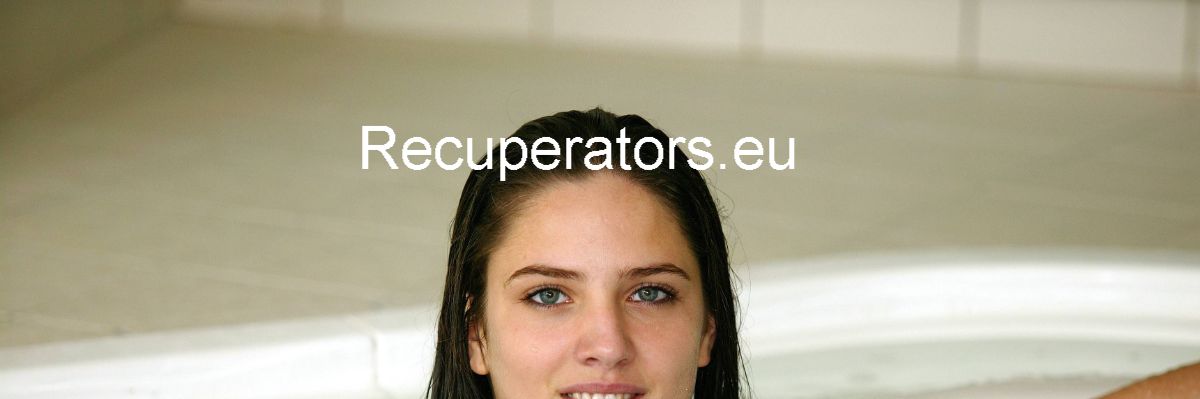 recuperators.giantsblog.net